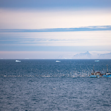 Resilient Explorer: Exploring Ilulissat, Greenland